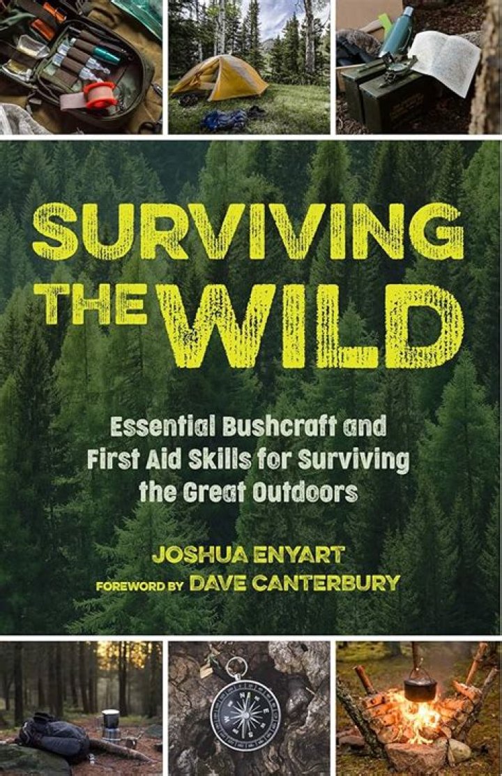 A Guide To Surviving In The Wilderness