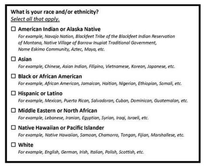 What's Her Ethnicity And Political Background?